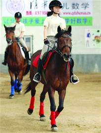 青島家長花60萬買溫血寶馬 給孩子練馬術(shù)專用