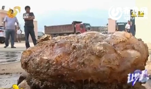 青島河道淤泥現(xiàn)巨型怪物 有人猜測(cè)是太歲