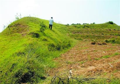 青島2400歲齊長城開修 翻越150座山土中含糯米漿