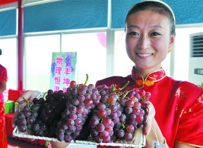 珍珠玫瑰露市民搶鮮嘗