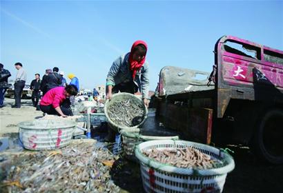 薛家島僅存老漁村將變南島旅游小鎮(zhèn)