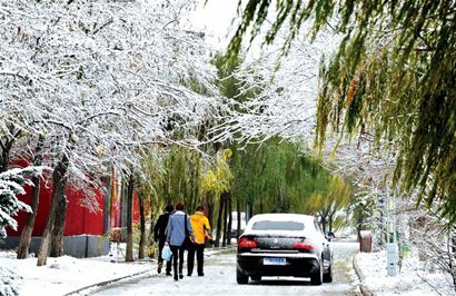 青島明晨或迎今冬首場雪