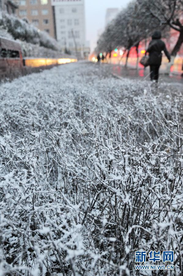 （生態(tài)）（3）內(nèi)蒙古東部、東北大部遭遇寒潮降雪天氣