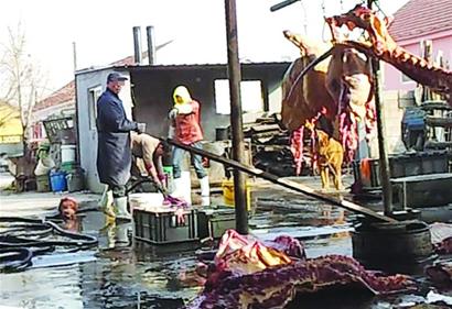 屠宰戶:賣肉不注水沒錢掙 注水肉運往南山市場