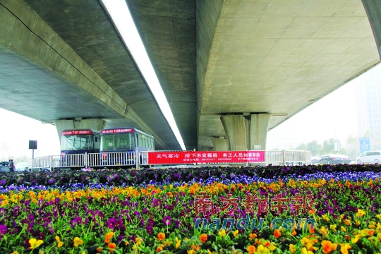 鄭州市中州大道農(nóng)業(yè)路口橋下新擺滿的花盆，旁邊是救助提示語。本版圖片均由南都記者 孫旭陽 攝