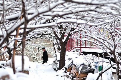 青島迎來入冬最大雪漫過腳踝 今明氣溫跌至-8℃