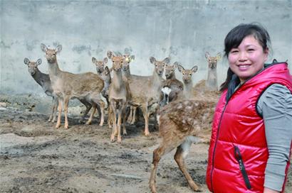 村民開辦家庭動物園免費對外開放