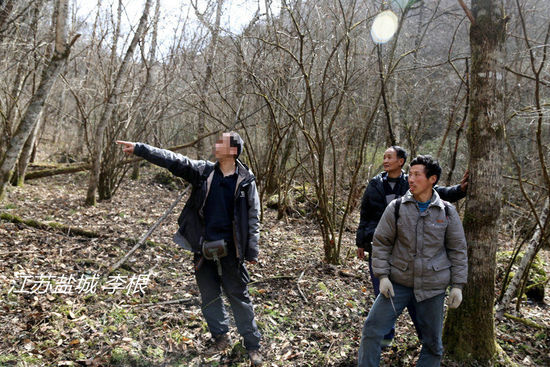 2013年3月4日，陜西省安康市鎮(zhèn)坪縣，隨周正龍上山人員研究尋虎方案。李根/CFP