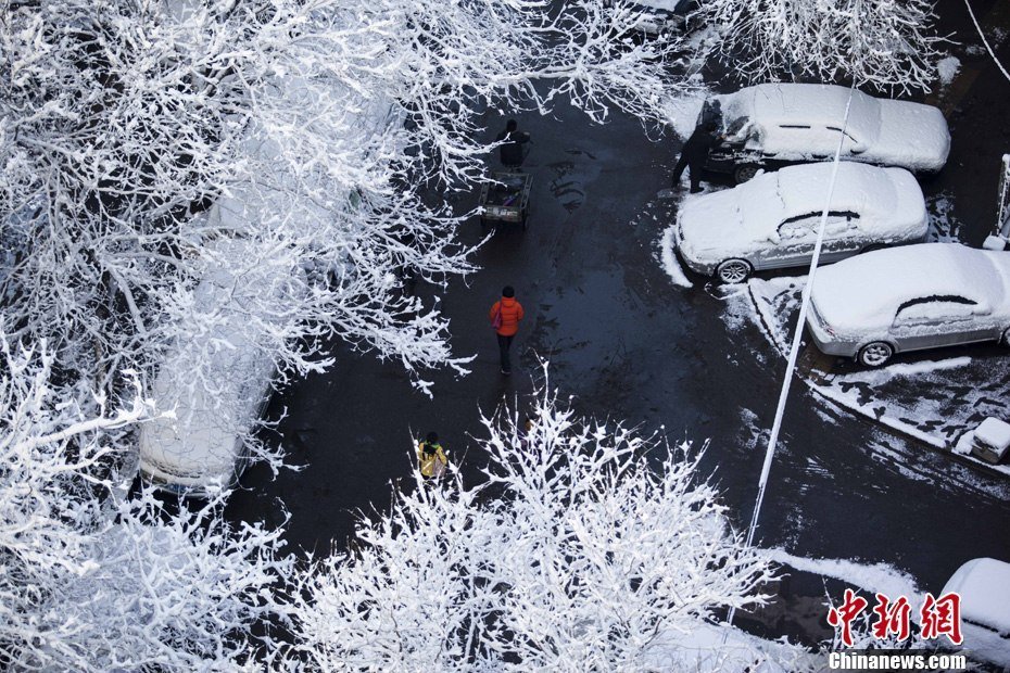 2013年3月20日早晨，降雪后的北京，全城銀裝素裹