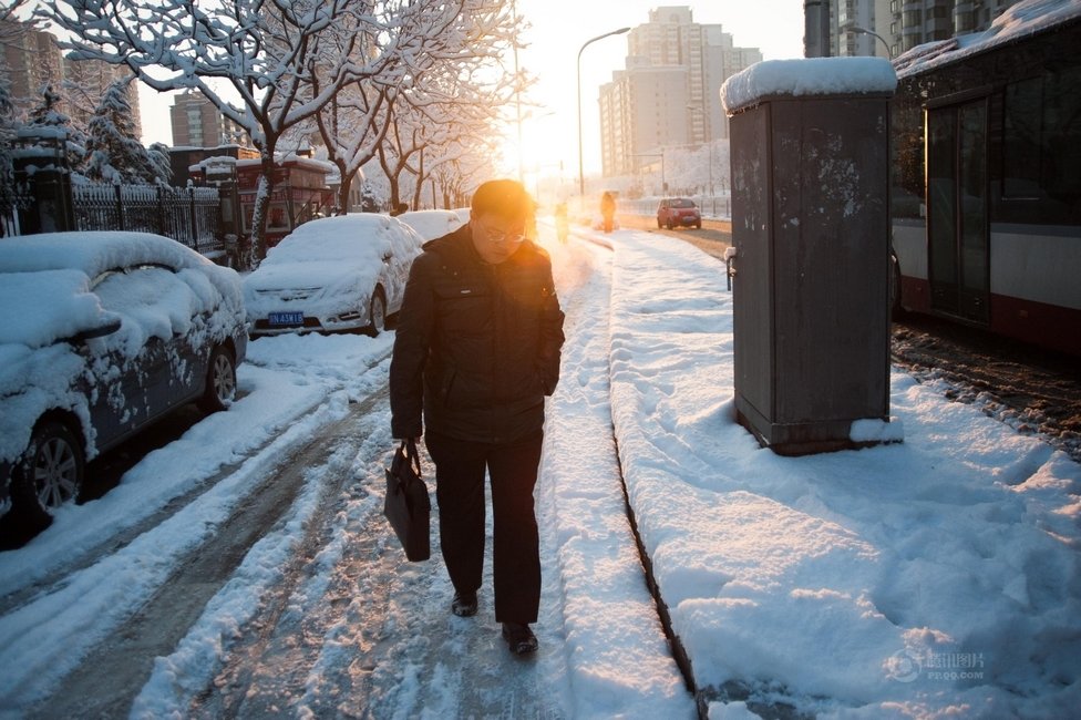 2013年3月20日早晨，降雪后的北京，全城銀裝素裹