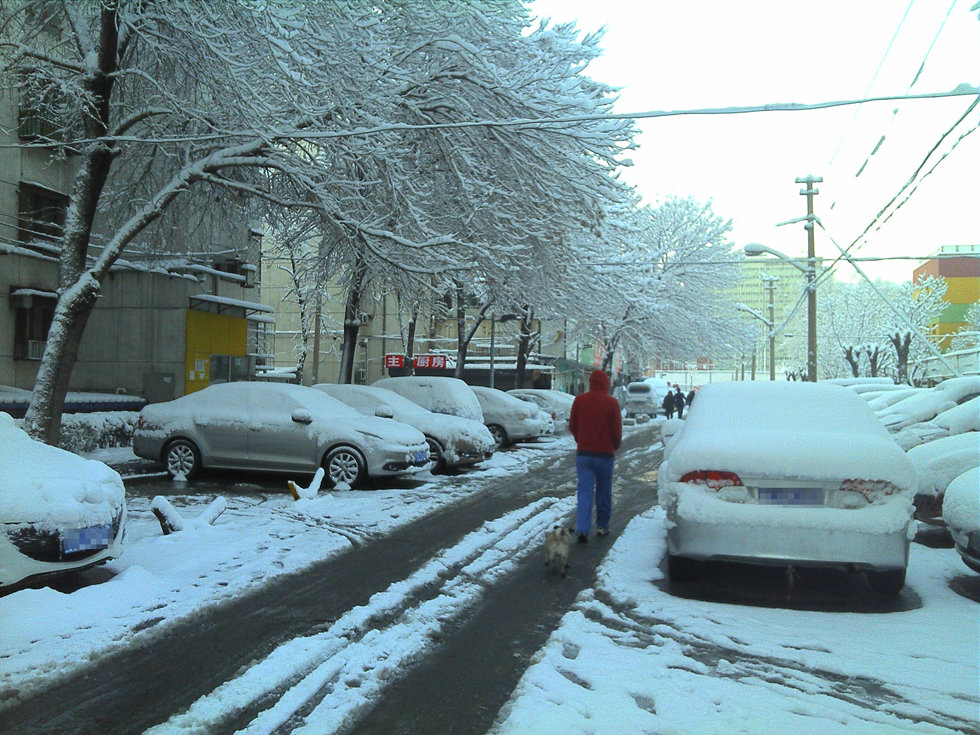 2013年3月20日早晨，降雪后的北京，全城銀裝素裹