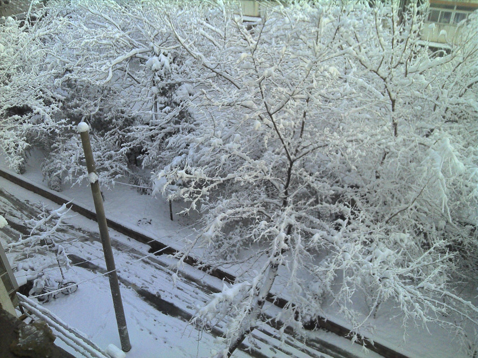 2013年3月20日早晨，降雪后的北京，全城銀裝素裹