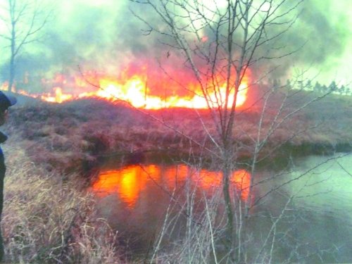 河南一官員為拍照取樂點燃樹苗 焚毀整片林地(圖)