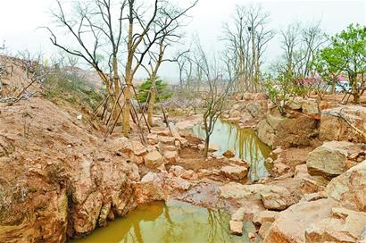 青島世園會(huì)將奉上百園盛宴 中華園國(guó)際園中西合璧