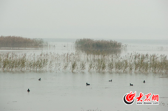 峽山湖國(guó)家濕地公園注重對(duì)自然環(huán)境的保護(hù)，公園的生物多樣性十分豐富，是我國(guó)內(nèi)陸候鳥遷徙通道上的重要驛站和棲息地