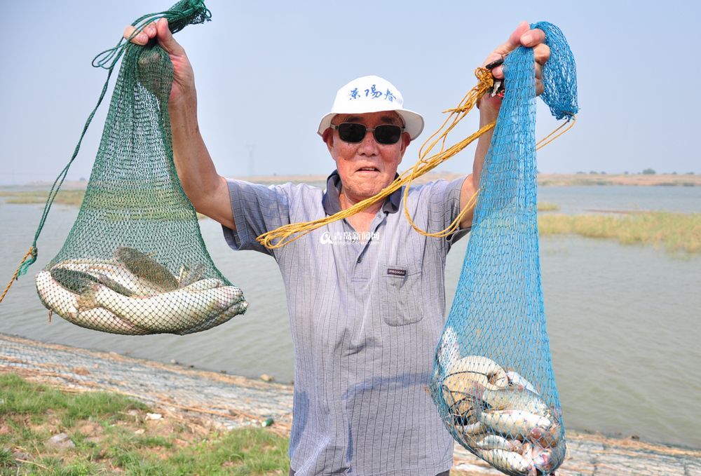 盛夏大沽河水草豐美 大閘蟹一小時抓十斤